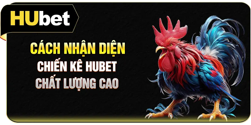 Cách nhận diện chiến kê Hubet chất lượng cao