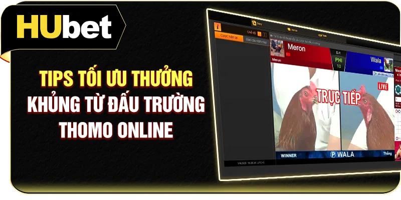 Tips tối ưu thưởng khủng từ đấu trường Thomo online
