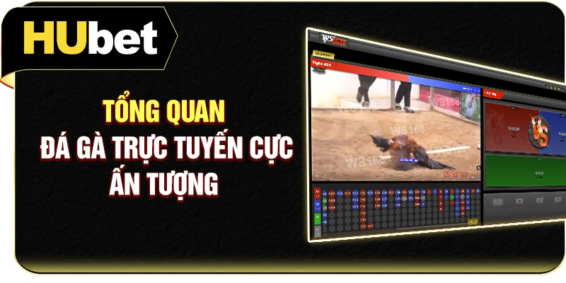 Tổng quan đá gà trực tuyến cực ấn tượng